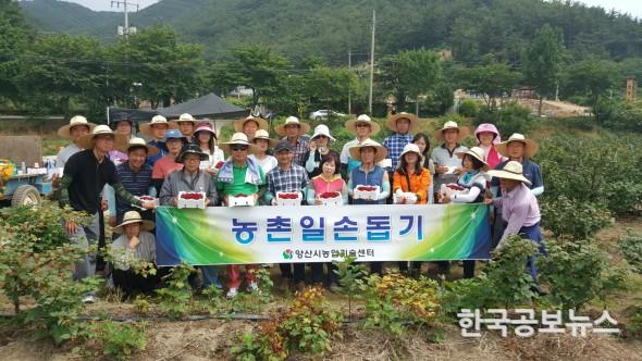 기사 사진