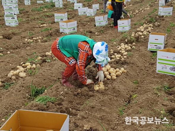 기사 사진