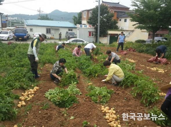 기사 사진