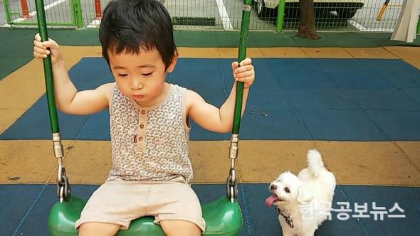 기사 사진