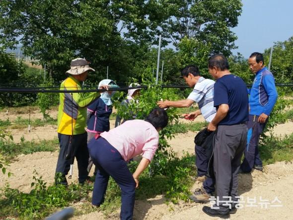 기사 사진