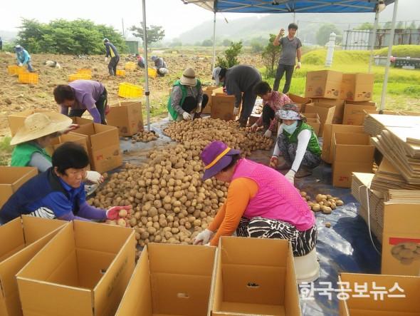 기사 사진