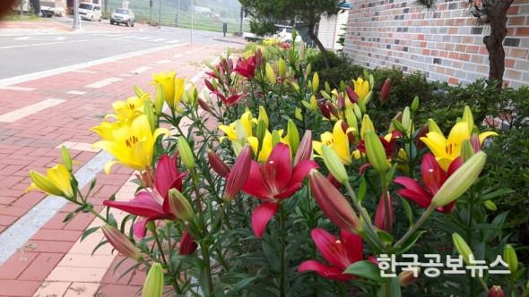 기사 사진