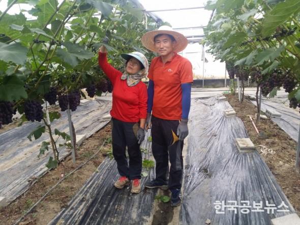 기사 사진