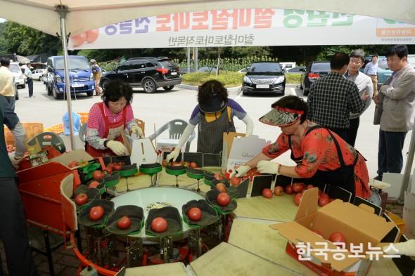 기사 사진