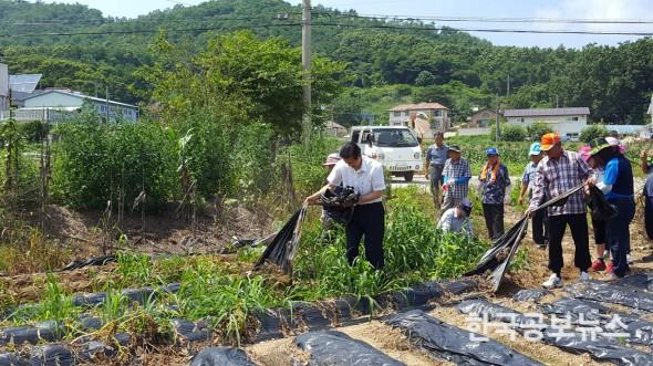 기사 사진