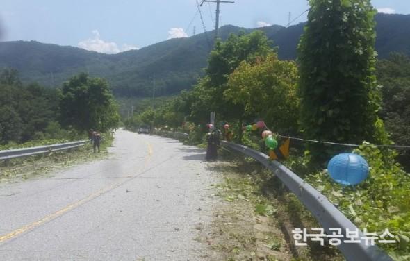 기사 사진