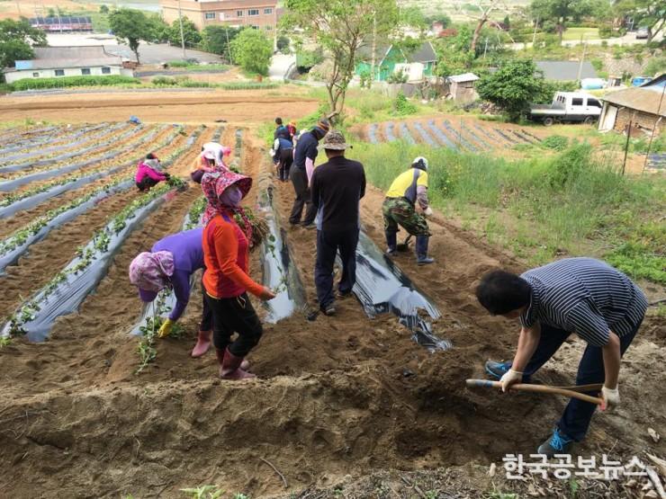 기사 사진