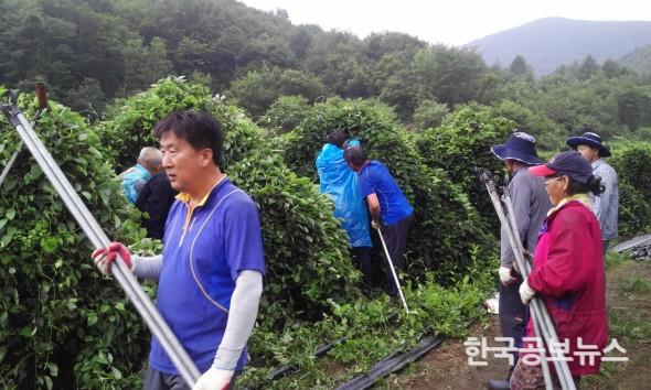 기사 사진