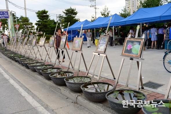 기사 사진