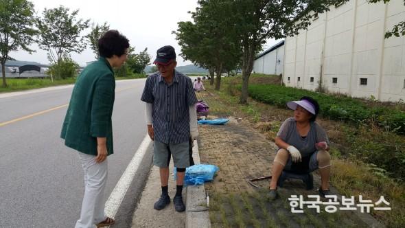 기사 사진