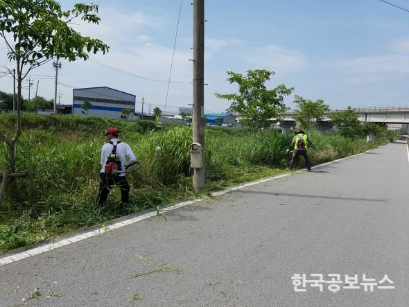 기사 사진