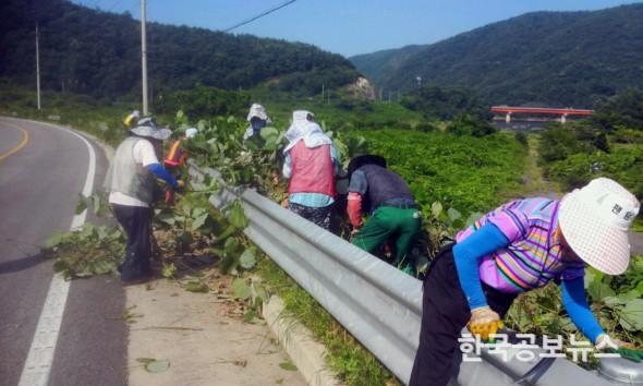 기사 사진