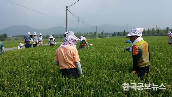 기사 사진