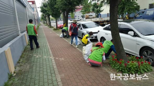 기사 사진