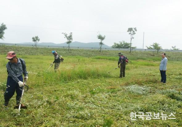 기사 사진