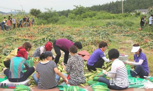 기사 사진