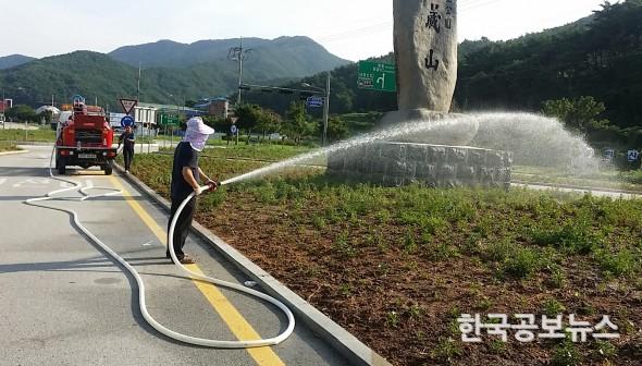 기사 사진