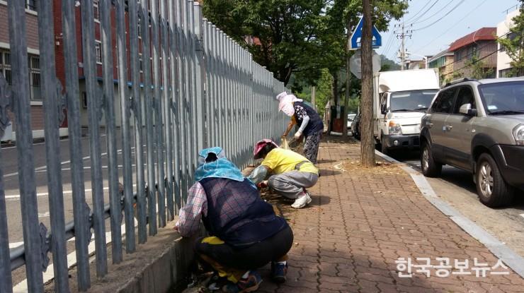 기사 사진