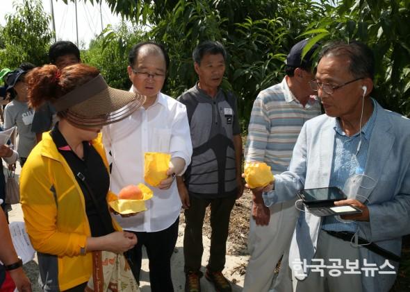 기사 사진