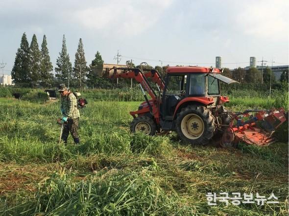 기사 사진