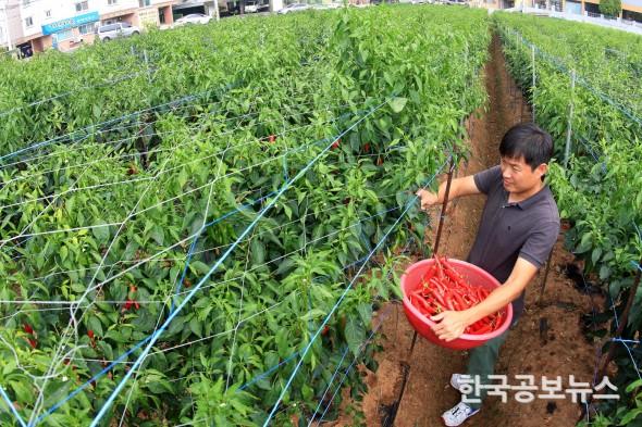 기사 사진