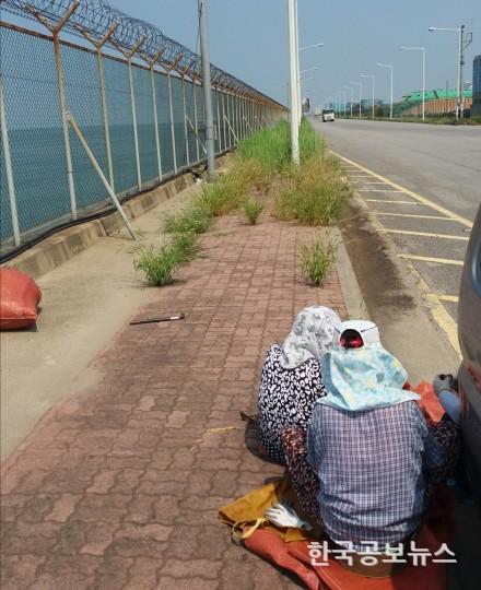 기사 사진