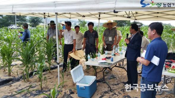 기사 사진