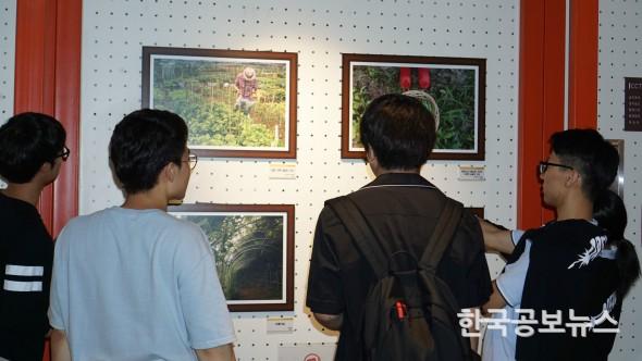 기사 사진