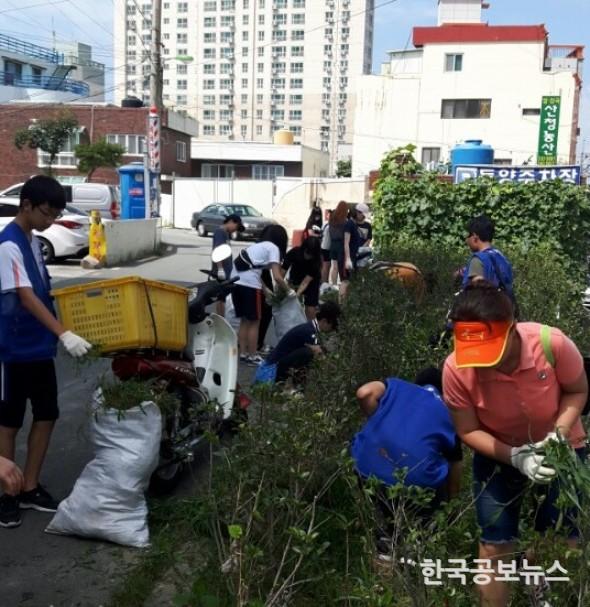 기사 사진