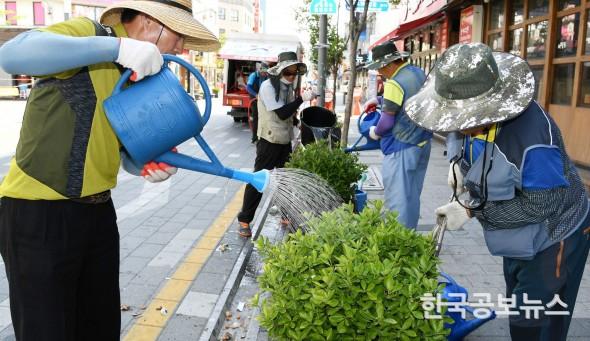 기사 사진