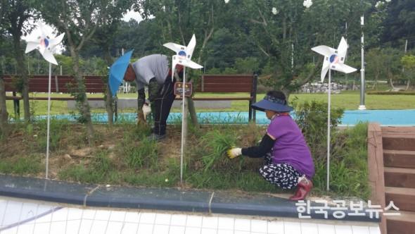 기사 사진