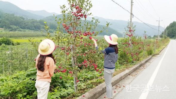 기사 사진