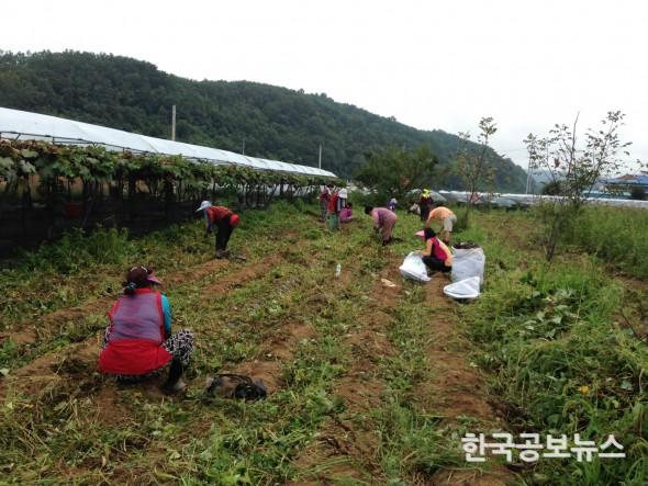 기사 사진