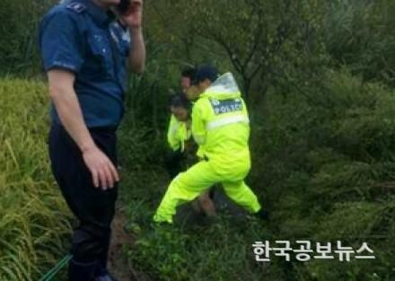 기사 사진