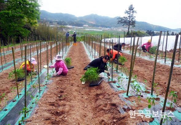 기사 사진