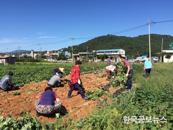 기사 사진