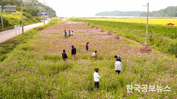 기사 사진