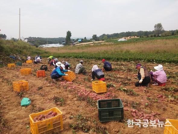 기사 사진