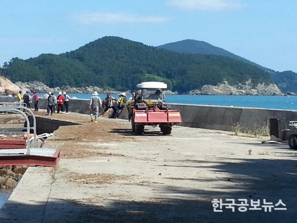 기사 사진