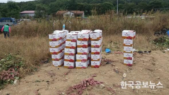 기사 사진