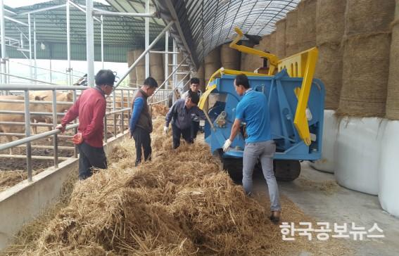 기사 사진
