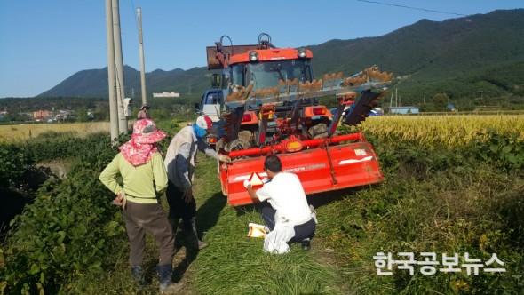 기사 사진