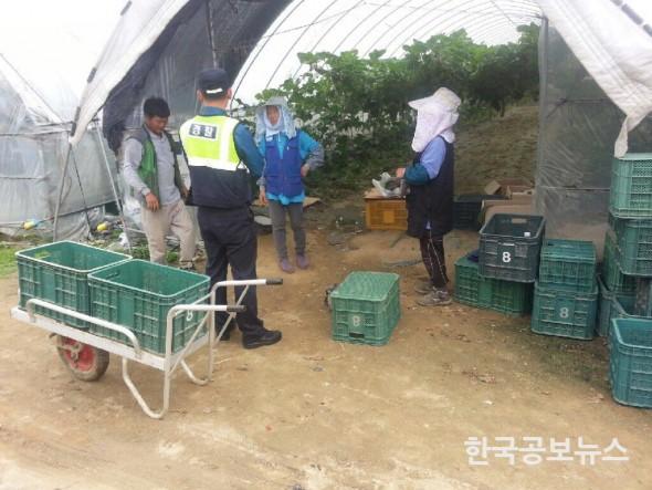 기사 사진