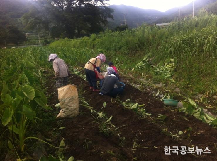 기사 사진