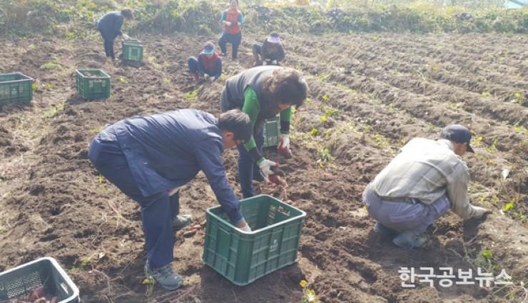 기사 사진