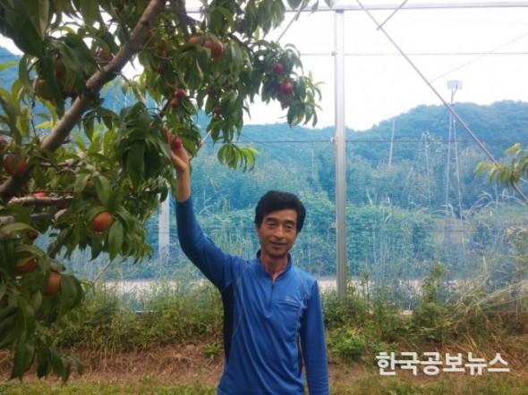 기사 사진