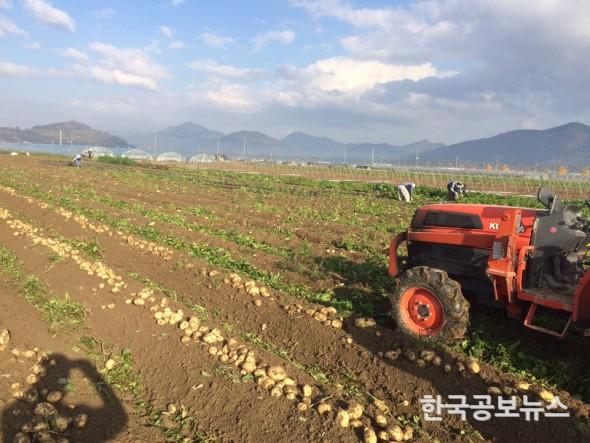 기사 사진