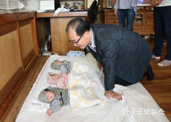 기사 사진