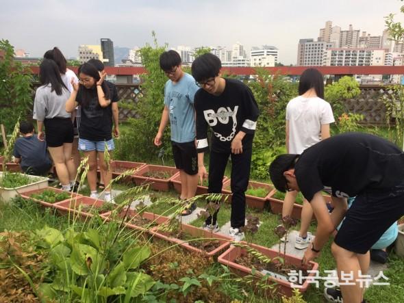 기사 사진
